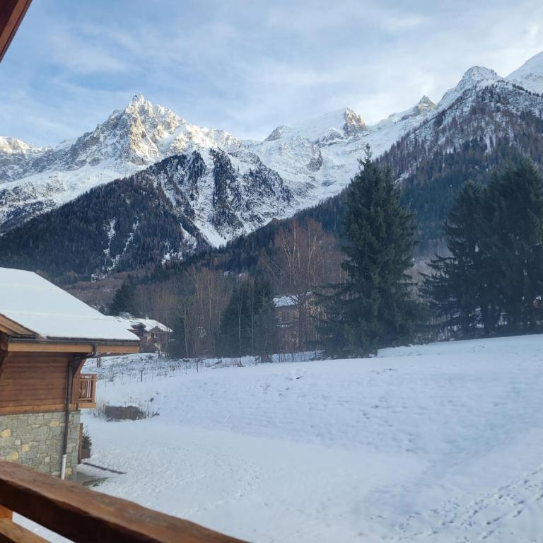 Le Hameau des Glaciers - Ski & Vue Incroyable - Appartement - 26