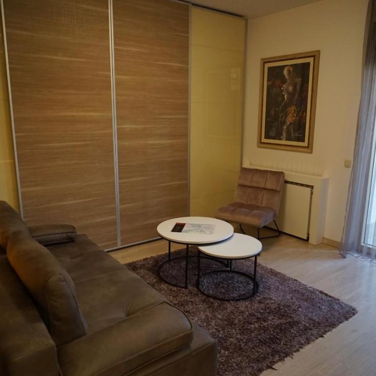 Urban Studio Vračar Centar - Central Belgrade - One-Bedroom Apartment - 6