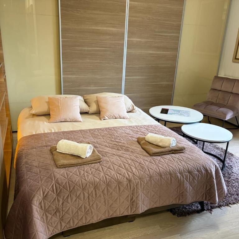 Urban Studio Vračar Centar - Central Belgrade - One-Bedroom Apartment - 2