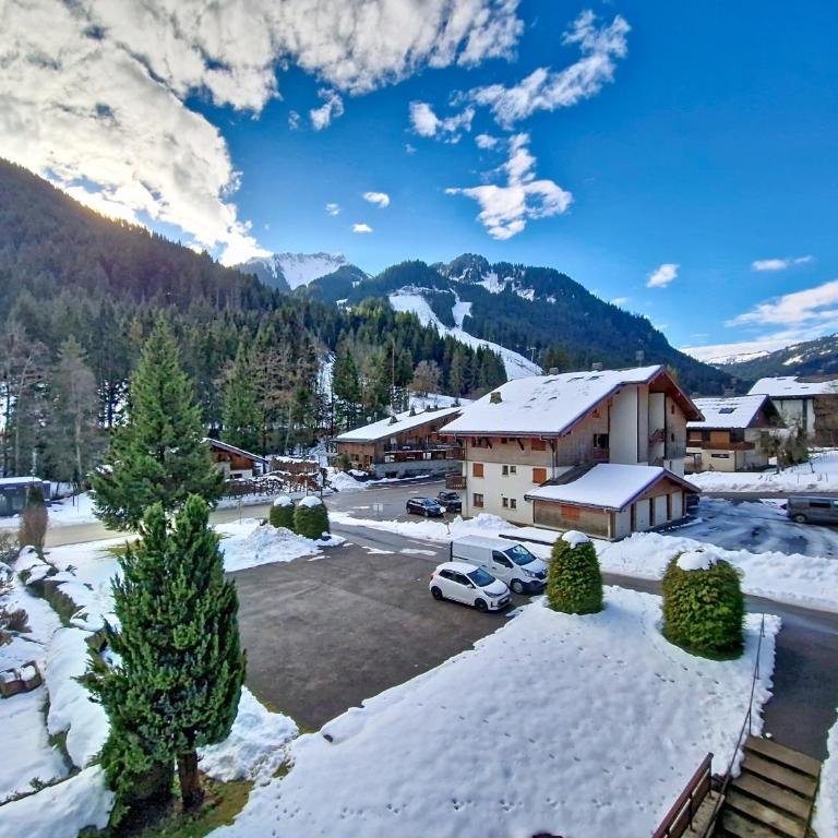 Portes Du Soleil PSB204 TELECABINE & MOUNTAIN 4 per - Studio - 11