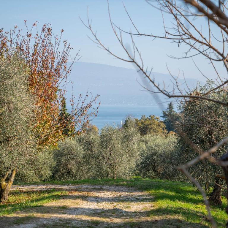 Uliveto Moriondo - Appartamento con 3 Camere da Letto e Vista Lago - 2