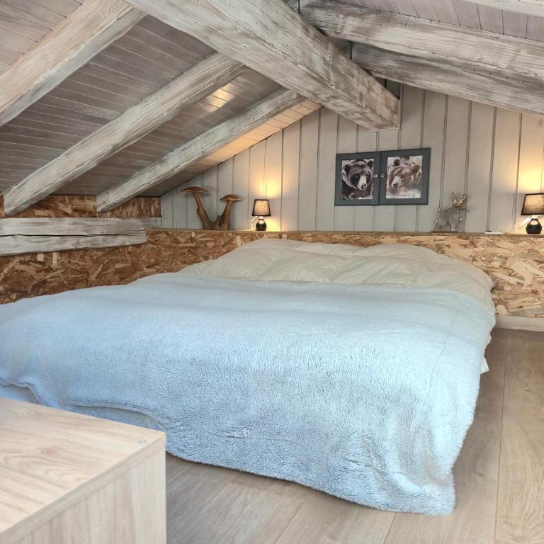 Chalet avec Jacuzzi, billard, jardin clos, proche Paradiski - Chalet - 37