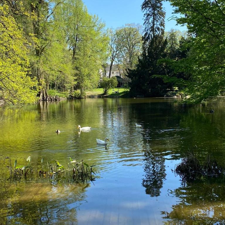 Le Cocon d'Oberthur - Proche Thabor - One-Bedroom Apartment - 19
