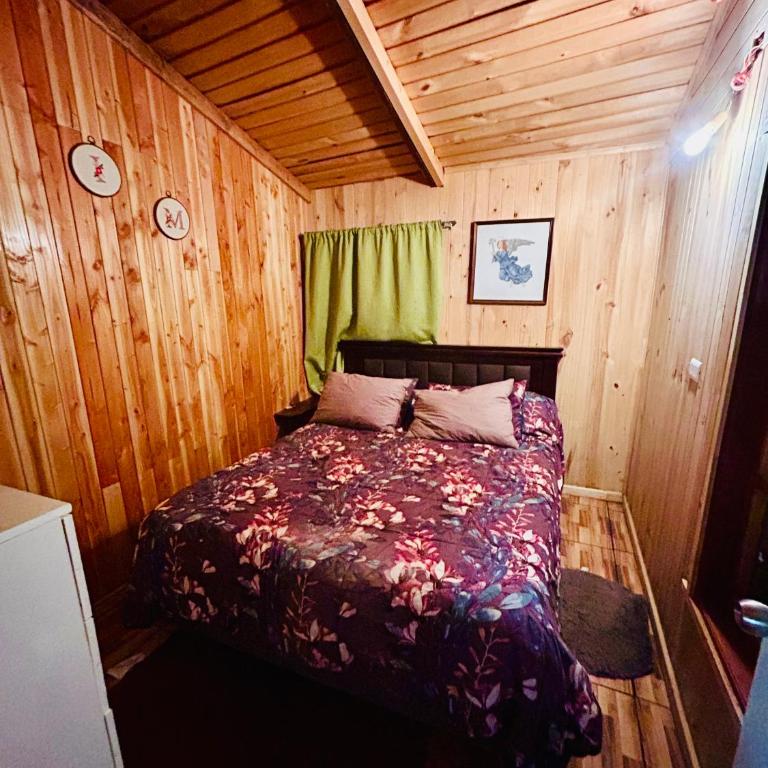 Cabaña caburgua con tinaja - One-Bedroom House - 5