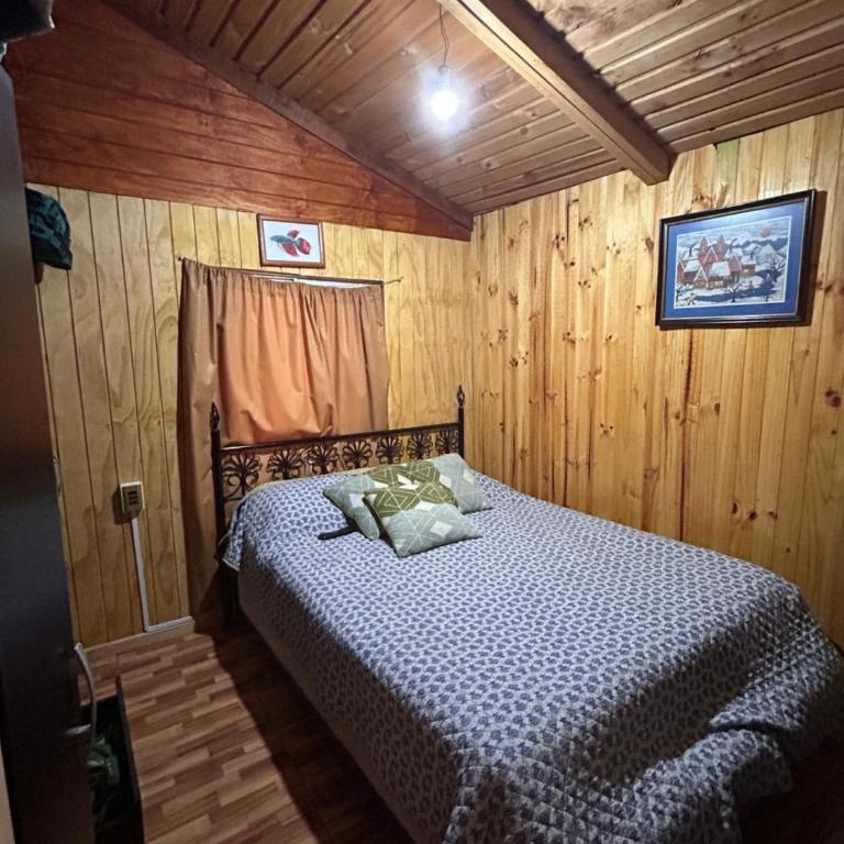 Cabaña caburgua con tinaja - One-Bedroom House - 7