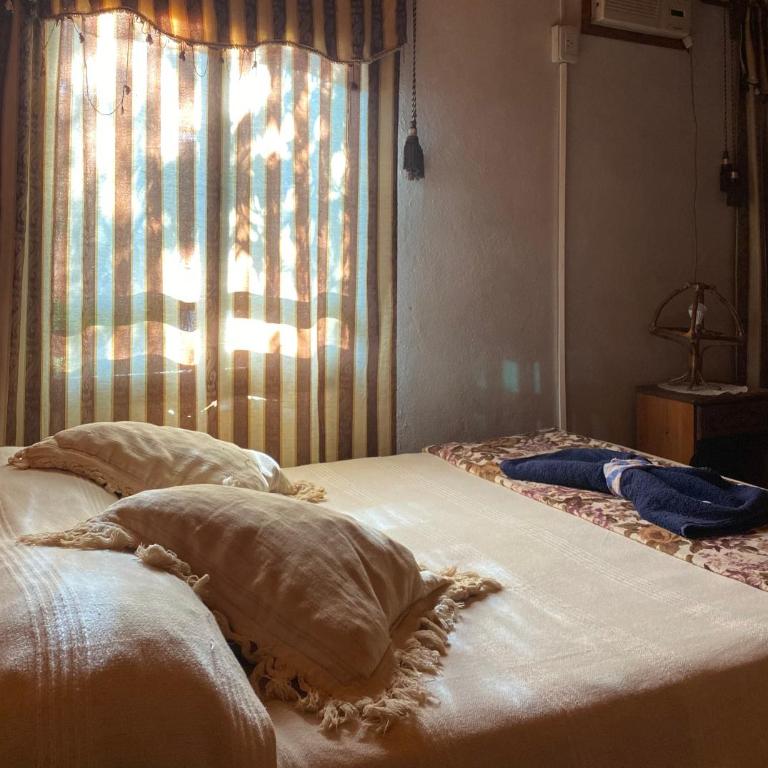 Arboleda - Loft - 12