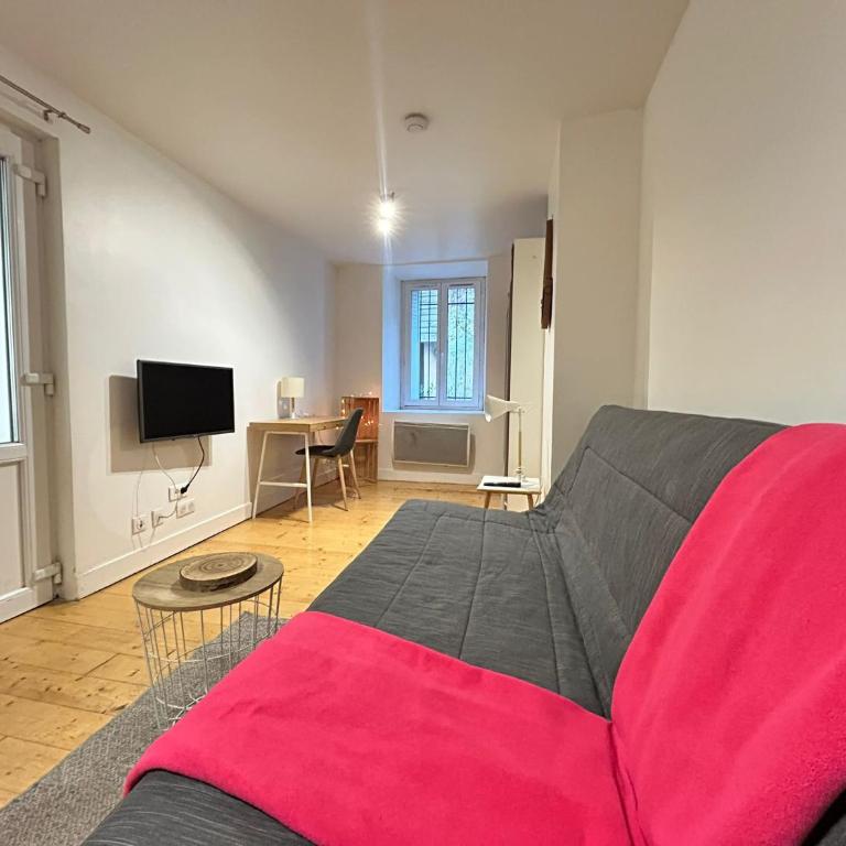 Le Petit Carmes, intimiste et central - Appartement 1 Chambre - 6