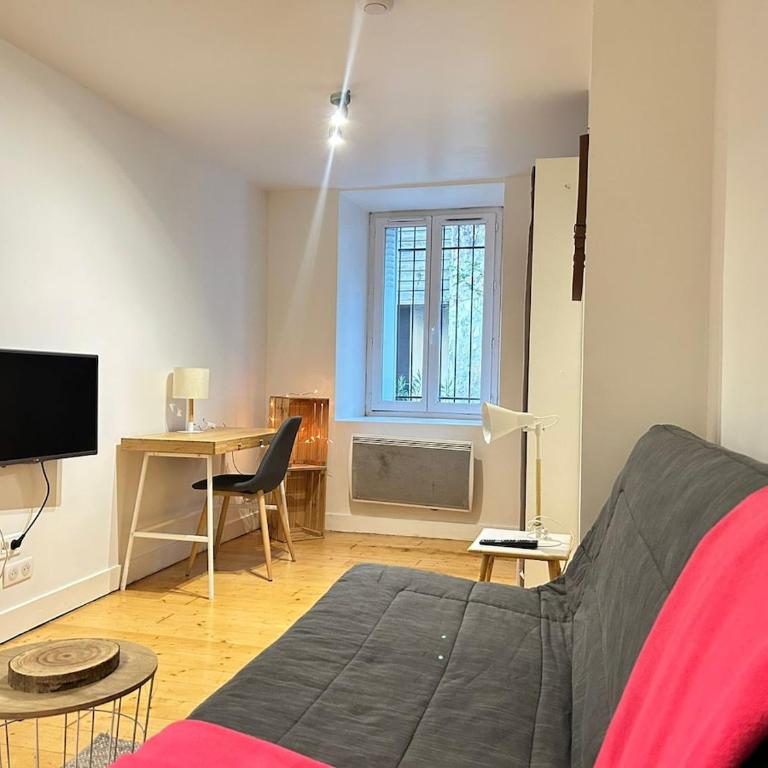 Le Petit Carmes, intimiste et central - Appartement 1 Chambre - 12