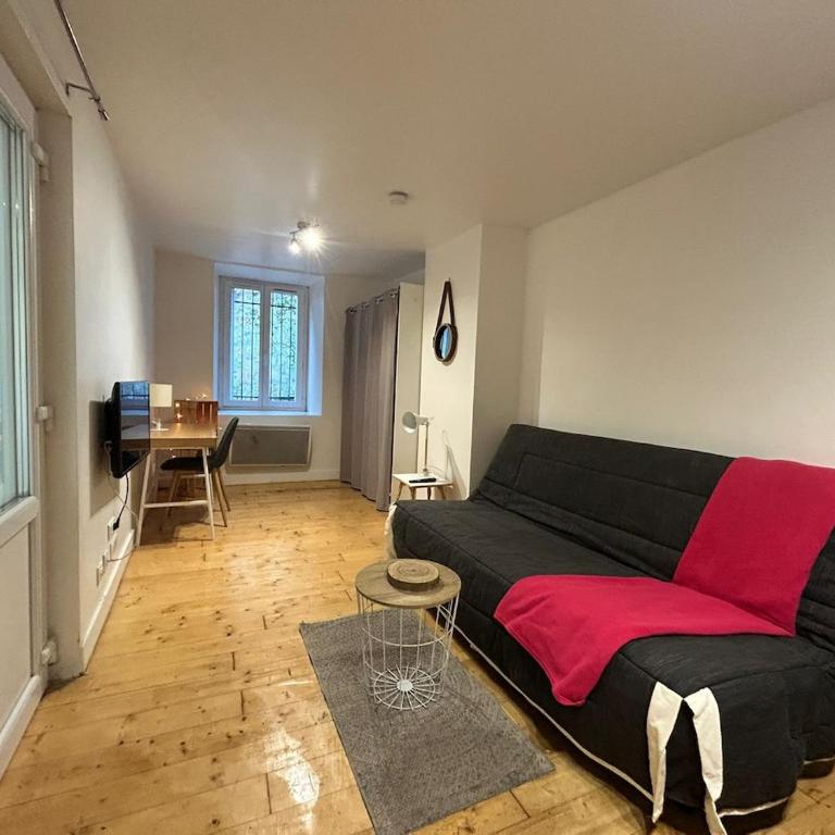Le Petit Carmes, intimiste et central - Appartement 1 Chambre - 16