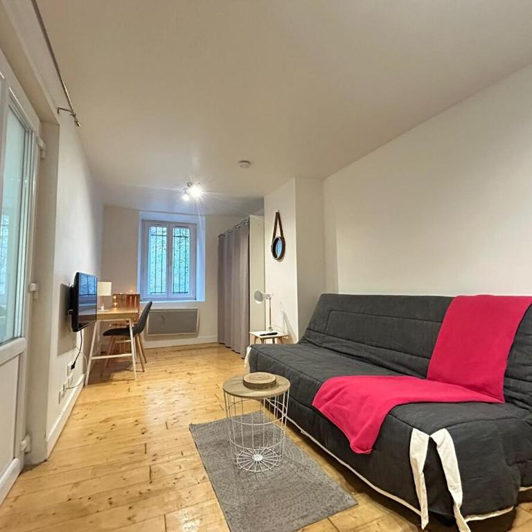Le Petit Carmes, intimiste et central - Appartement 1 Chambre - 24