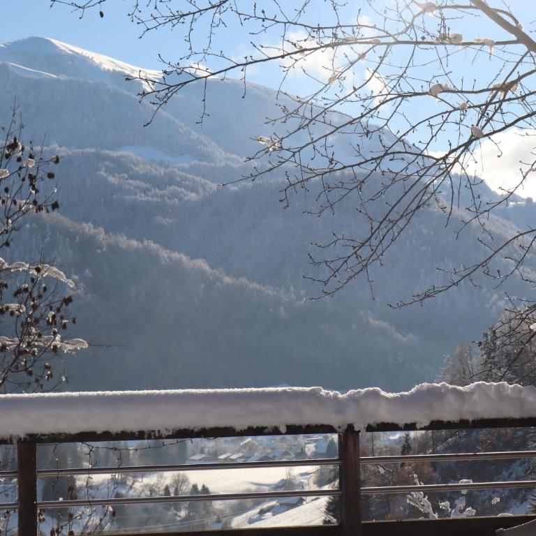 Charming family Chalet for 8 people, with private Hot Tub - Chalet - 27
