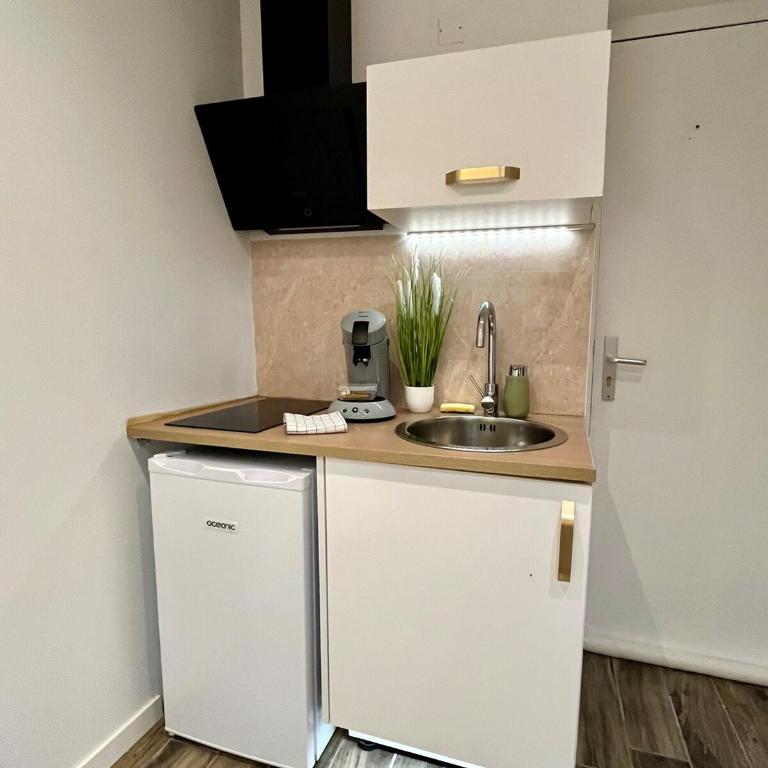Studio 0 - Cinema Sport Parking - DABNB - Appartement 1 Chambre - 9