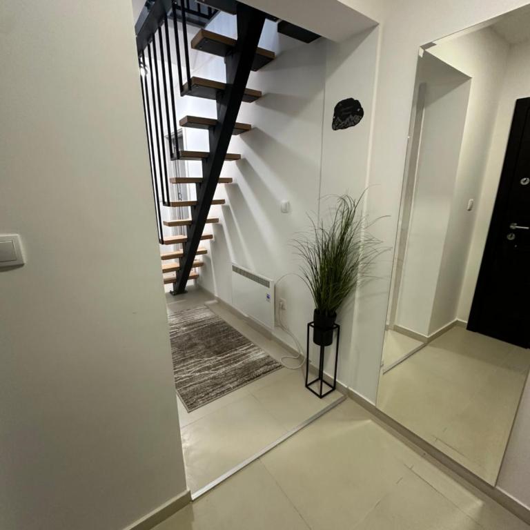 Duplex Apartman Marina Zlatibor - Duplex Apartment - 8