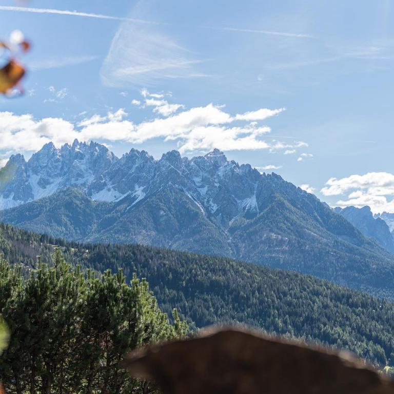 Berggut Niggler - Pratum - Appartamento con Vista Montagna - 15