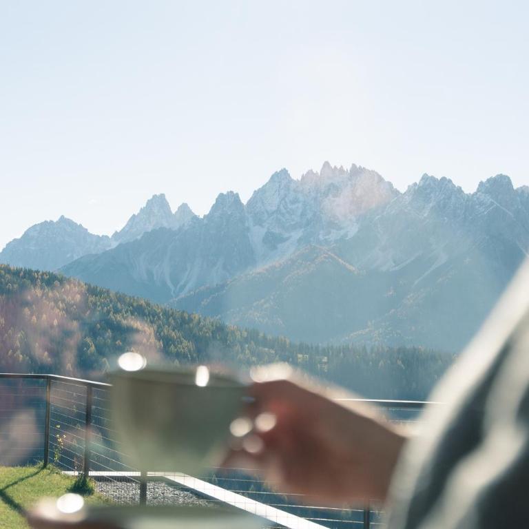 Berggut Niggler - Pratum - Appartamento con Vista Montagna - 19