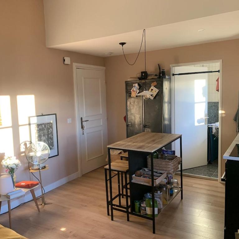Balade à l'Hôtel Particulier de Montcalm - Appartement 1 Chambre - 5