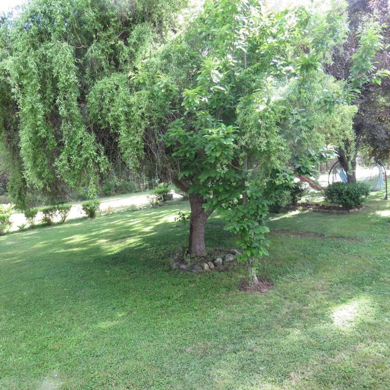Cabaña Boutique San Rafael - Two-Bedroom House - 15