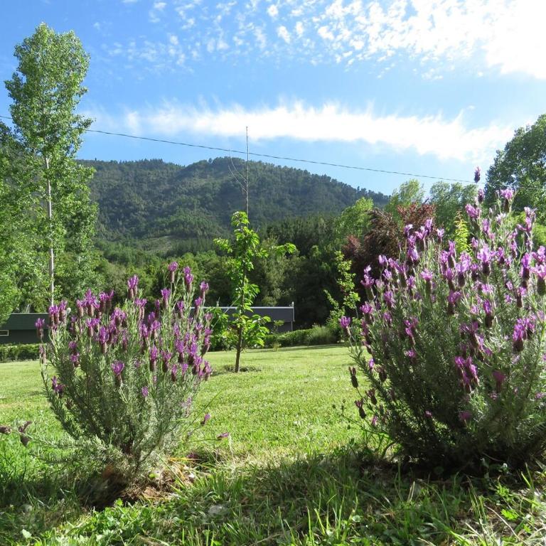 Cabaña Boutique San Rafael - Two-Bedroom House - 20