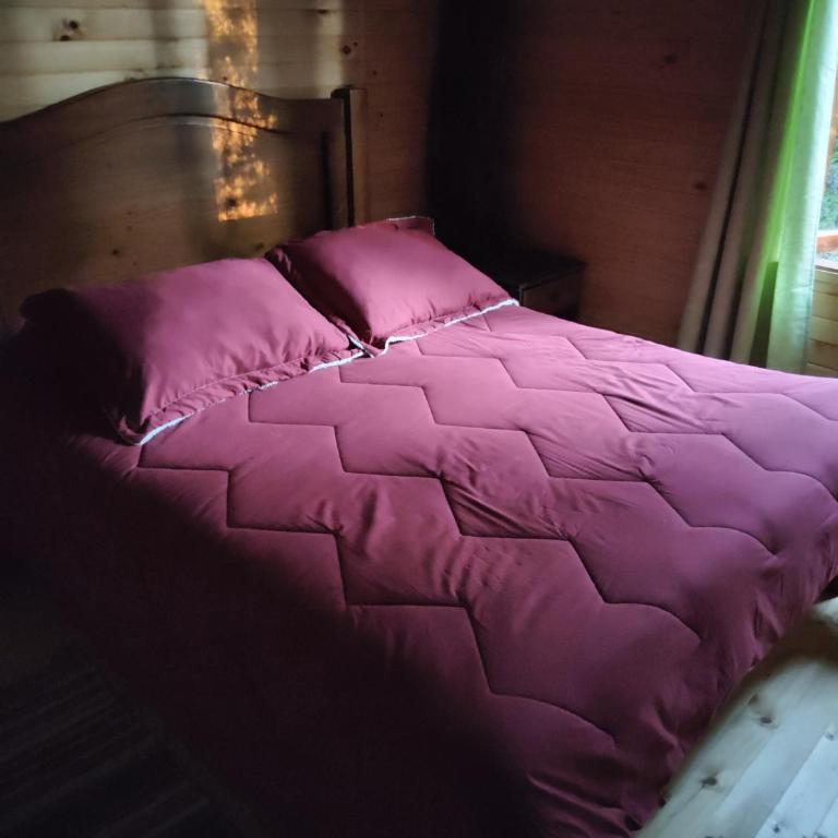 Cabañas mountain Native forest - Two-Bedroom Apartment - 3