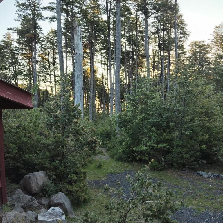 Cabañas mountain Native forest - Two-Bedroom Apartment - 5