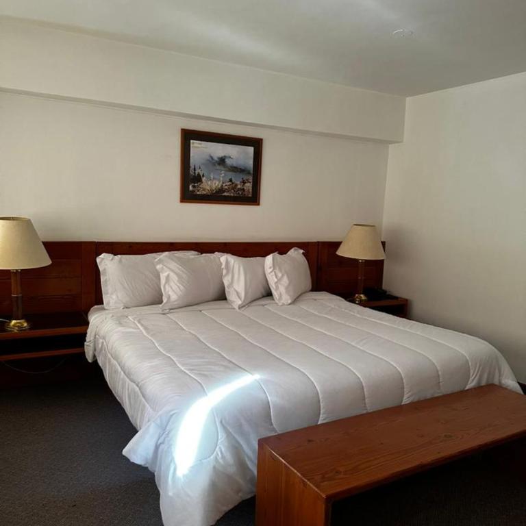 Park Hotel Mérida - Presidential Suite - 2
