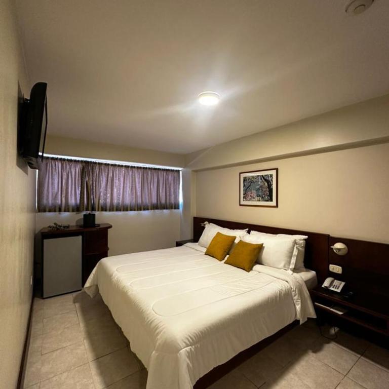 Park Hotel Mérida - Deluxe Room - 3