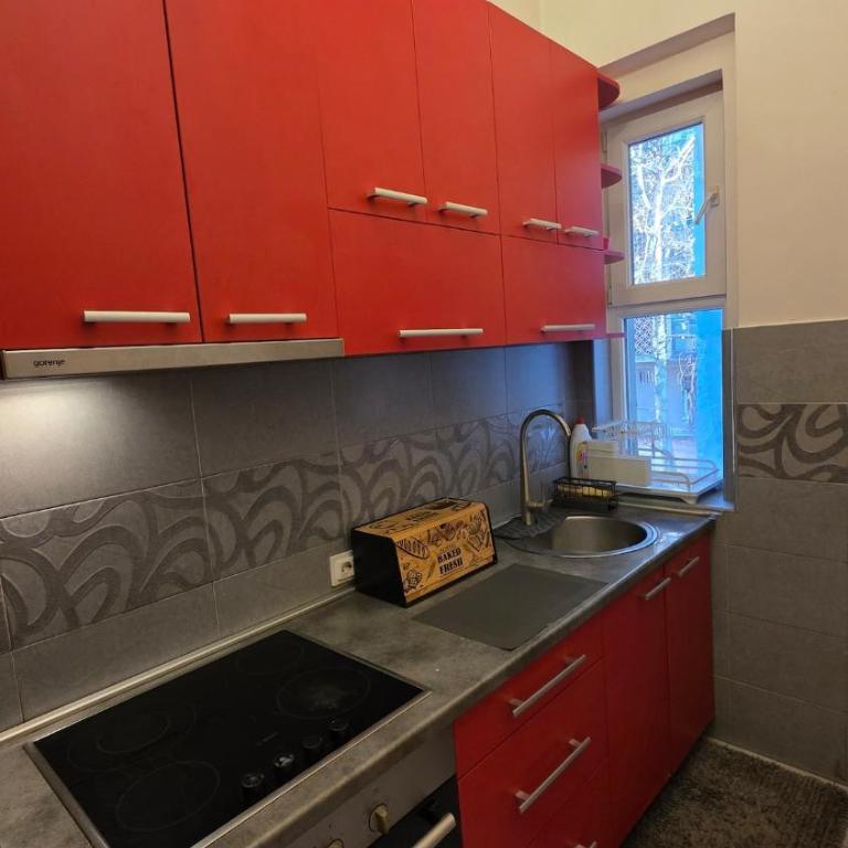 Vračar Luxury Apartment - Apartman sa 1 Spavaćom Sobom - 5