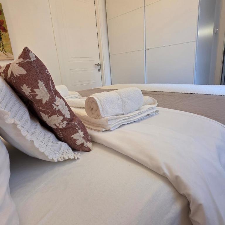 Vračar Luxury Apartment - Apartman sa 1 Spavaćom Sobom - 27