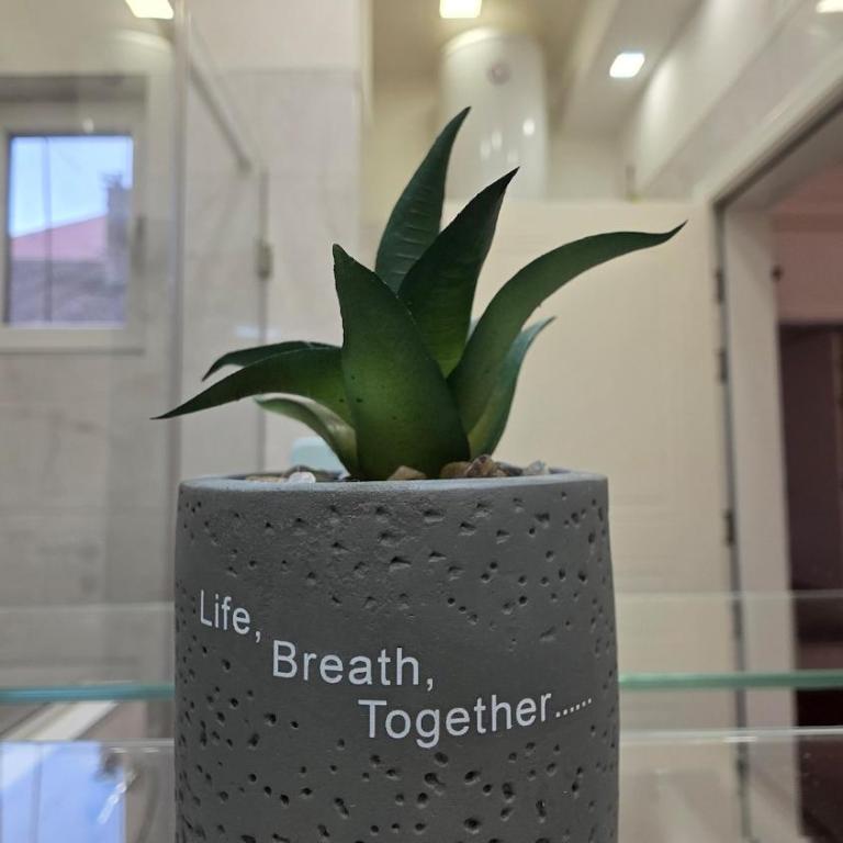 Vračar Luxury Apartment - Apartman sa 1 Spavaćom Sobom - 41