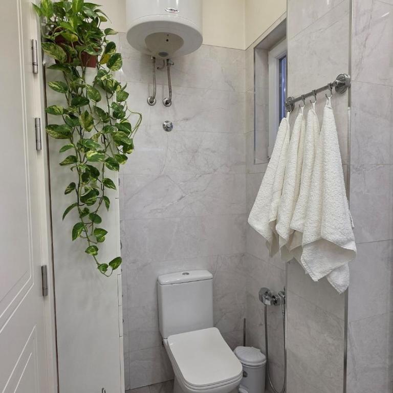 Vračar Luxury Apartment - Apartman sa 1 Spavaćom Sobom - 48