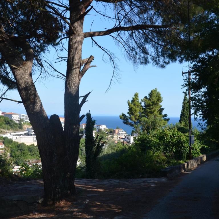 Apartment Dragovic - Apartment with Sea View - 29