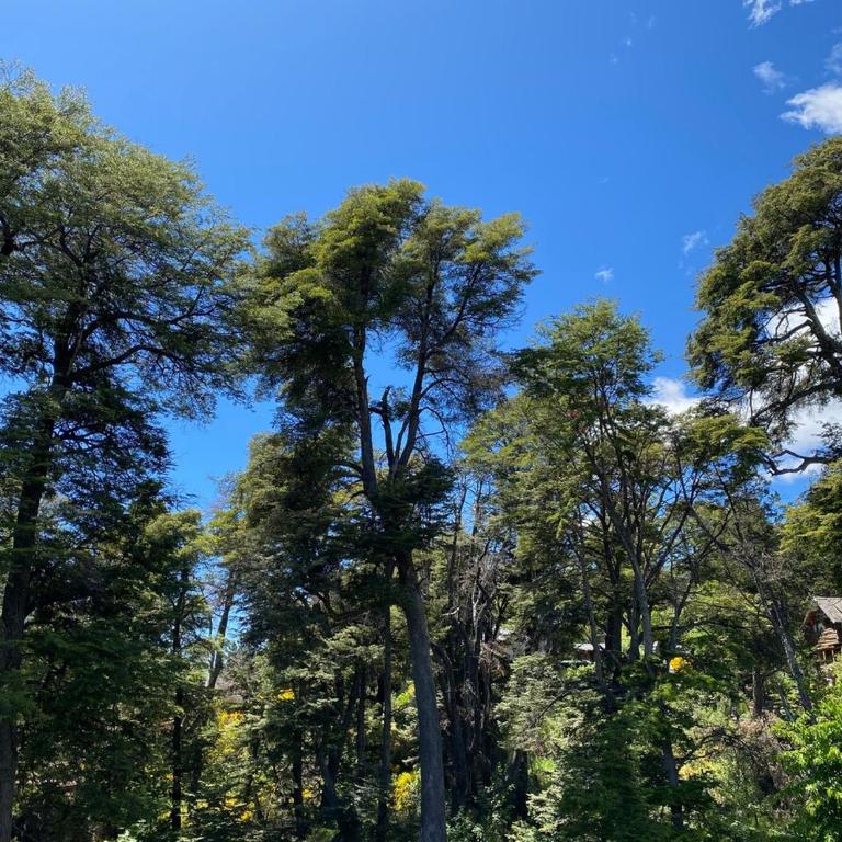 Lo de Nani - One-Bedroom House - 5