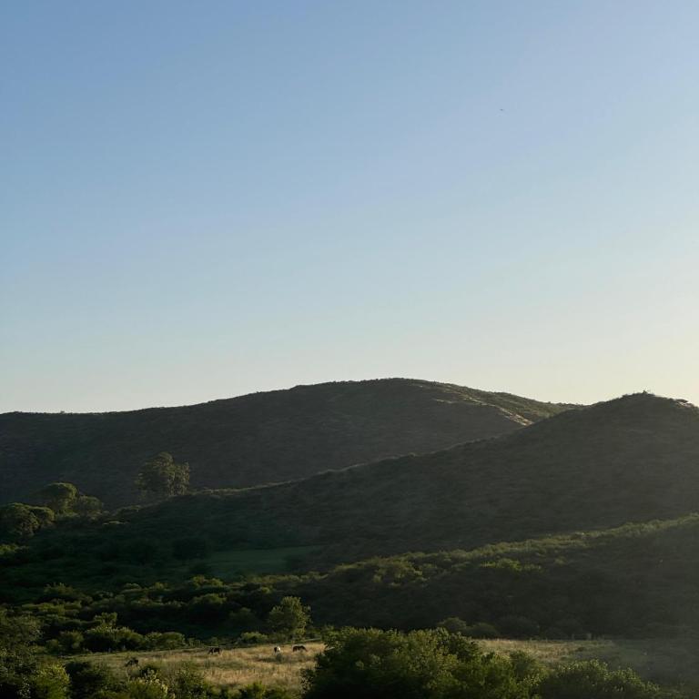 el buen aire - Two-Bedroom Chalet - 4