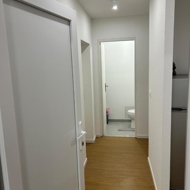 Renove Comfortable Appartement Mulhouse - Apartamento de 2 dormitorios - 5