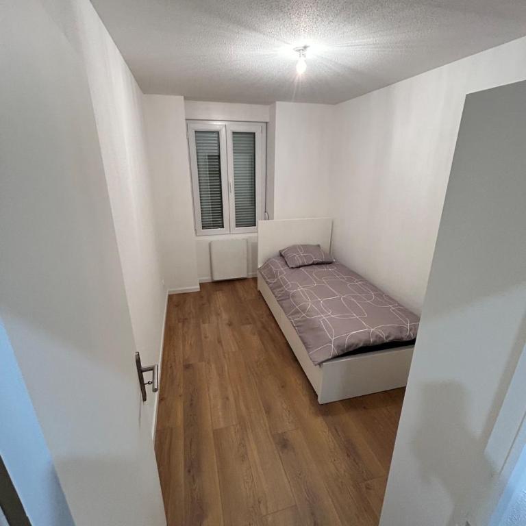 Renove Comfortable Appartement Mulhouse - Apartamento de 2 dormitorios - 7