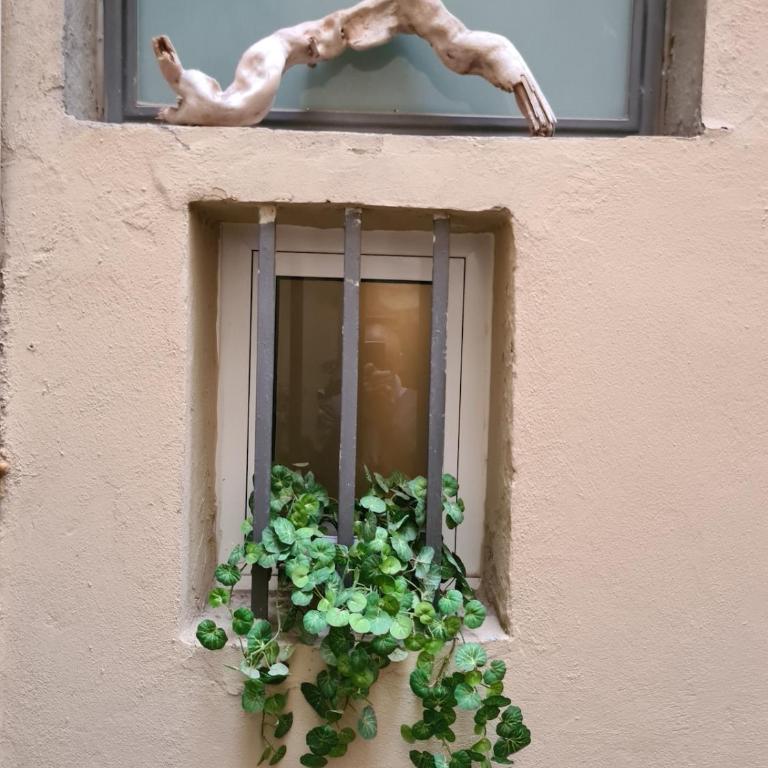 Green Chic Flat in Centre near the Train Station - Appartamento con 1 Camera da Letto - 23