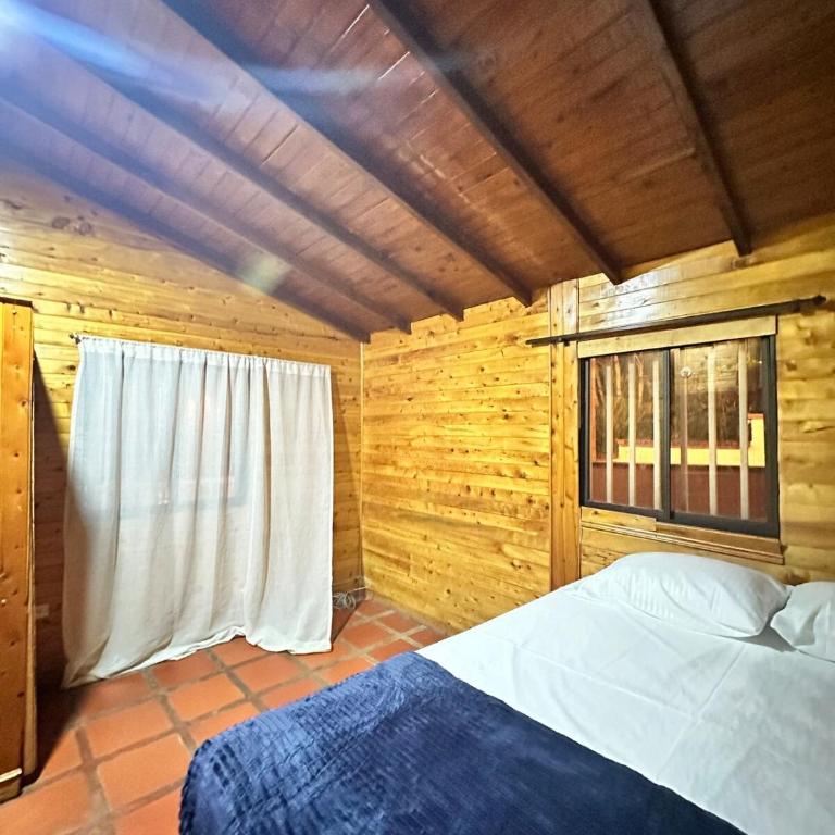 Country house with a Jacuzzi for 10, a cinema, and 10 minutes from the airport - Finca Gabriela - Three-Bedroom House - 38