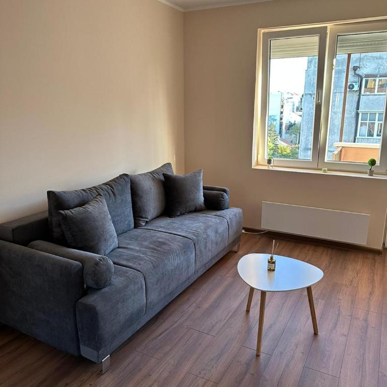 Vojvoda Apartment - One-Bedroom Apartment - 1