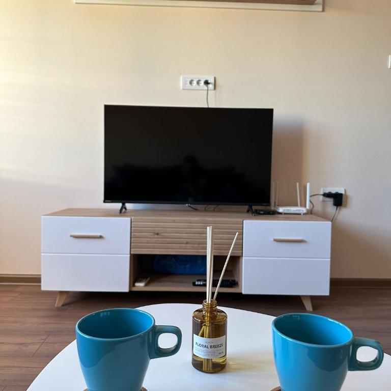 Vojvoda Apartment - One-Bedroom Apartment - 2