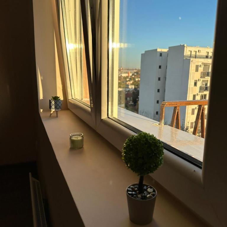 Vojvoda Apartment - One-Bedroom Apartment - 11