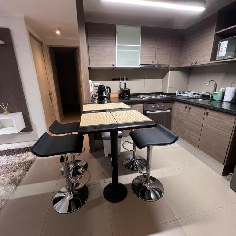 Acogedor depto Santiago Centro - Two-Bedroom Apartment - 20