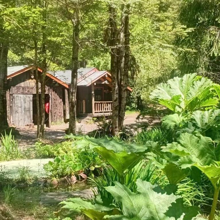 Pucón Magic forest - Suite con vistas al jardín - 11