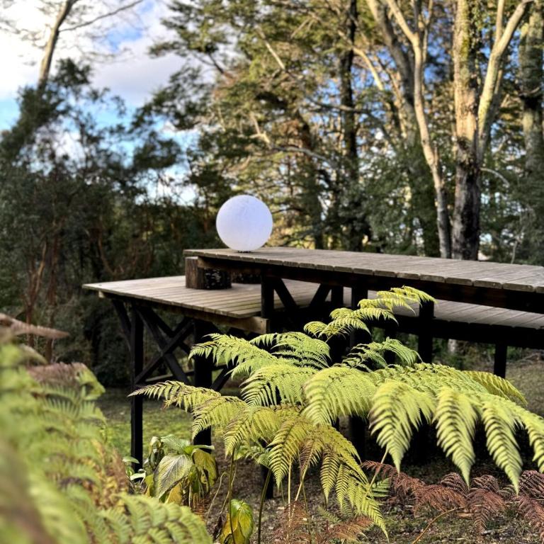 Casa Taller Meular Chiloé - Superior Twin Room with Garden View - 3