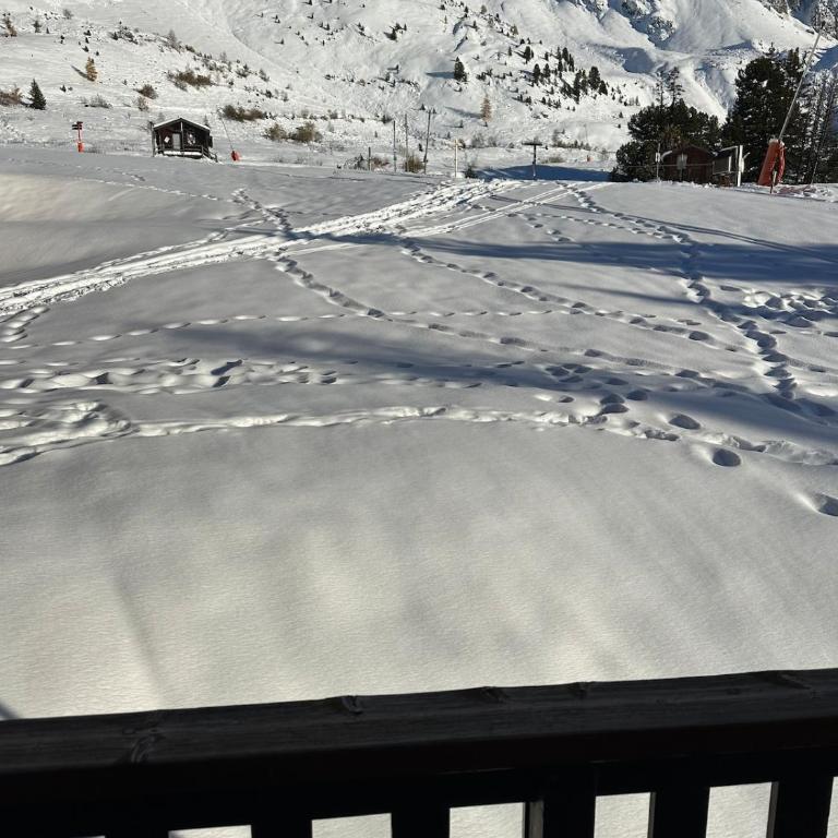 Bel appartement ski aux pieds 5 personnes 2 chambres BELLE PLAGNE - Appartamento con 2 Camere da Letto - 20