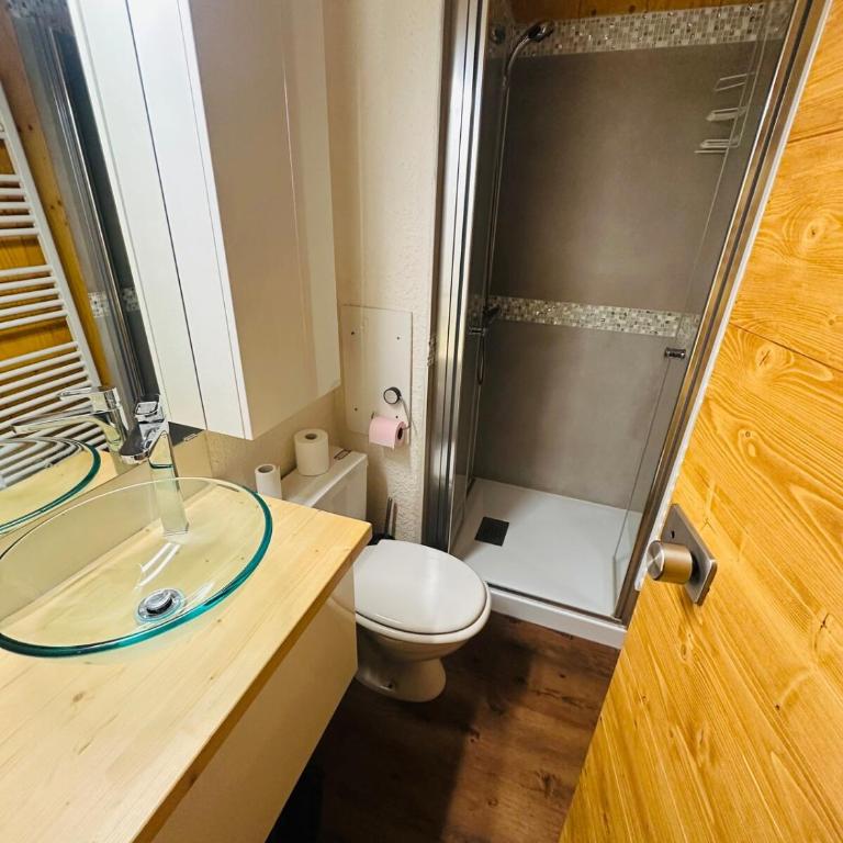 Bel appartement ski aux pieds 5 personnes 2 chambres BELLE PLAGNE - Appartamento con 2 Camere da Letto - 21