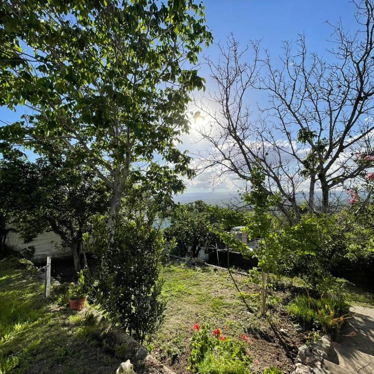 La casa de Alva - Casa de 3 dormitorios - 4