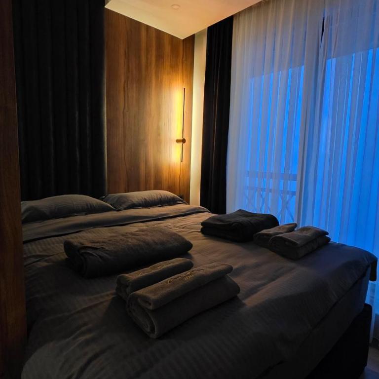 Luxe Horizon & Spa Apartments Kopaonik - One-Bedroom Apartment - 13