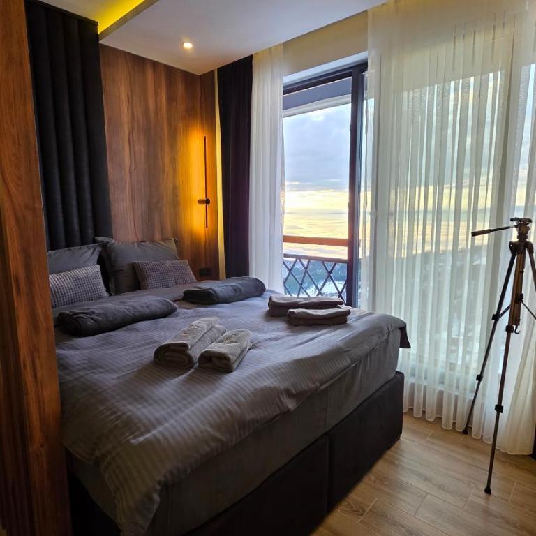 Luxe Horizon & Spa Apartments Kopaonik - One-Bedroom Apartment - 11