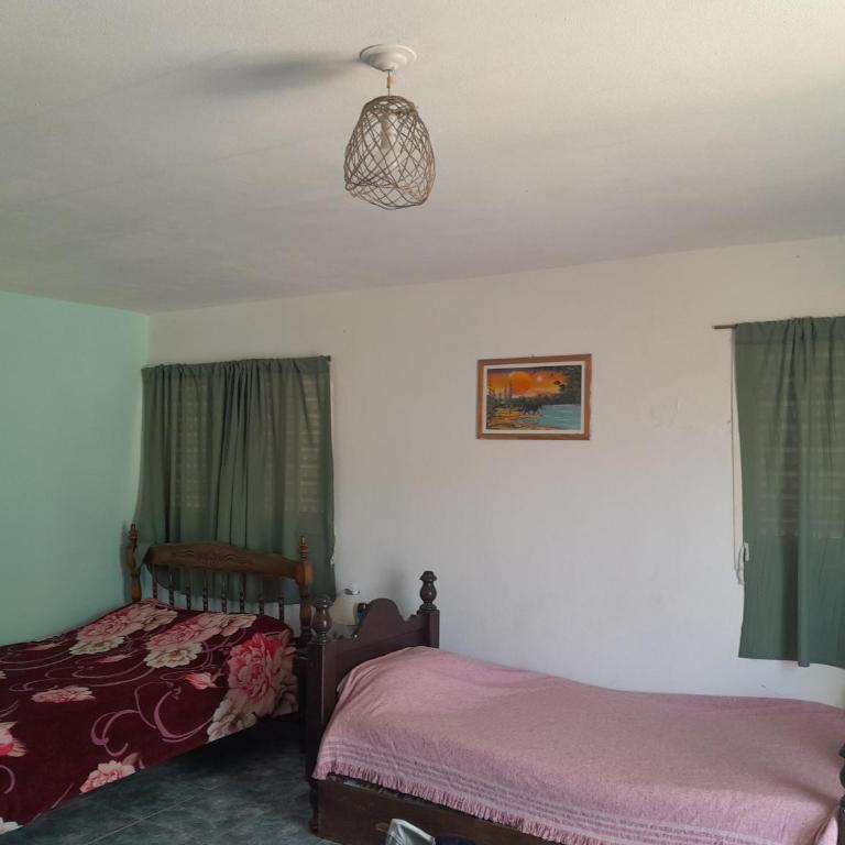 Casita Naranja - Monoambiente - Estudio Deluxe con cama grande - 4