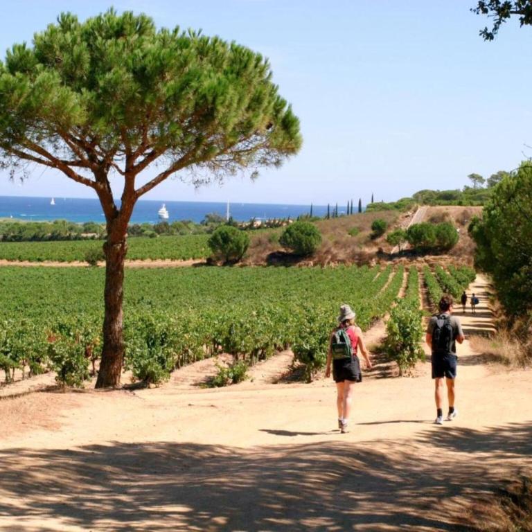 Villa in Gassin near Saint Tropez Beaches - Villa 3 Chambres - 32